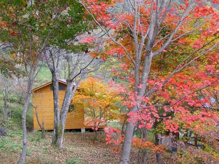 紅葉する林間にあるコテージ