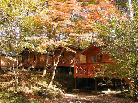 那須高原アカルパの紅葉した木々とコテージ