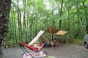 木洩れ日と清流のキャンプ場の雑木林のサイト