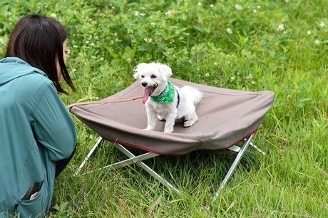 ドッグコットに座る犬