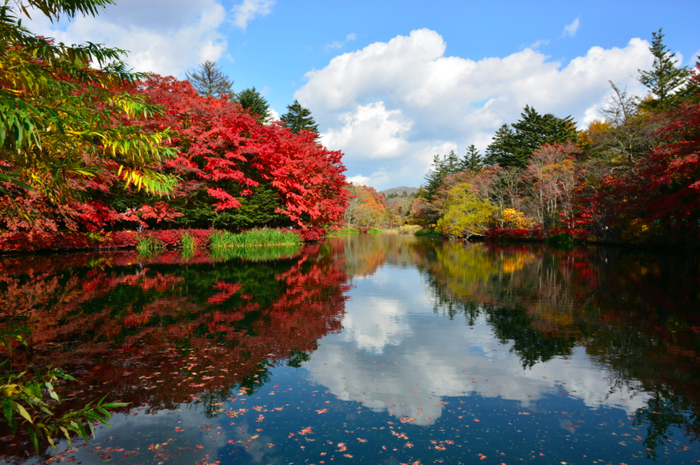 紅葉に染まる軽井沢の雲場池