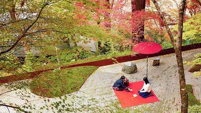 星野や京都の紅葉お茶会の様子