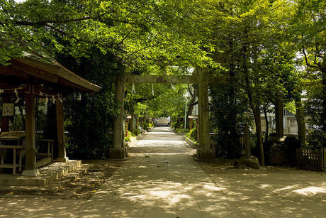 石神井公園の石神井城跡
