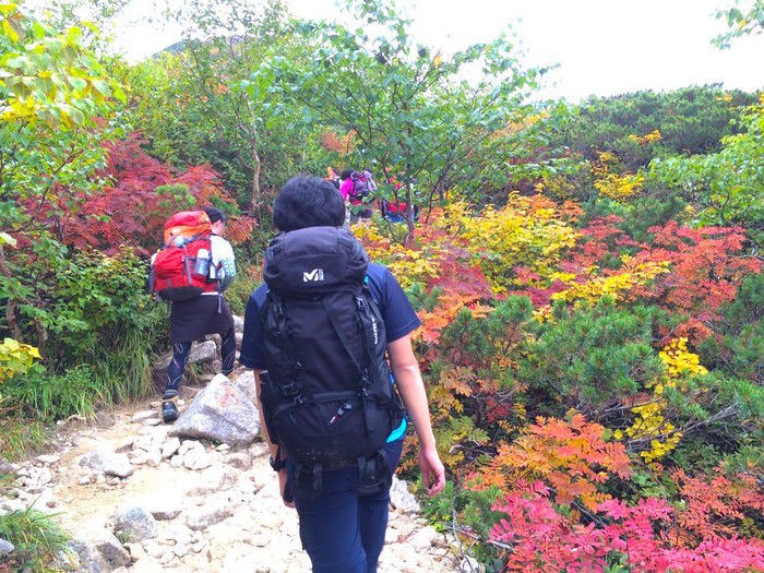 登山道を彩る鮮やかな紅葉の様子