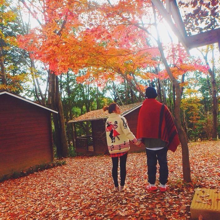 紅葉の下で手をつなぐカップル