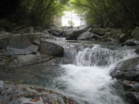 道志村の森を流れる滝