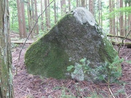 道志村内のハイキングコースの苔むした岩