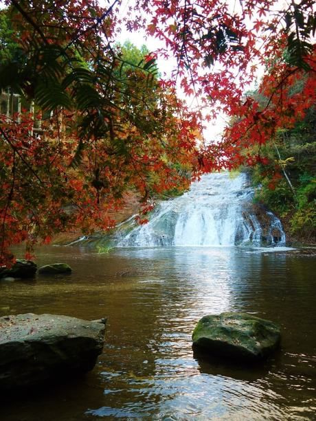 養老渓谷の紅葉の景色