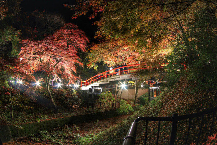 河鹿橋の紅葉のライトアップ