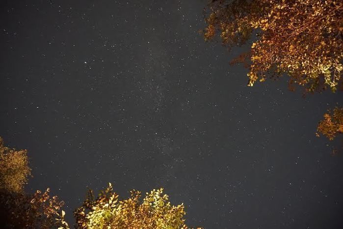 道志の森キャンプ場の夜空