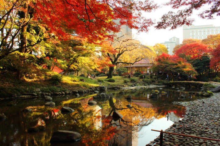 文京区の小石川後楽園の紅葉と池
