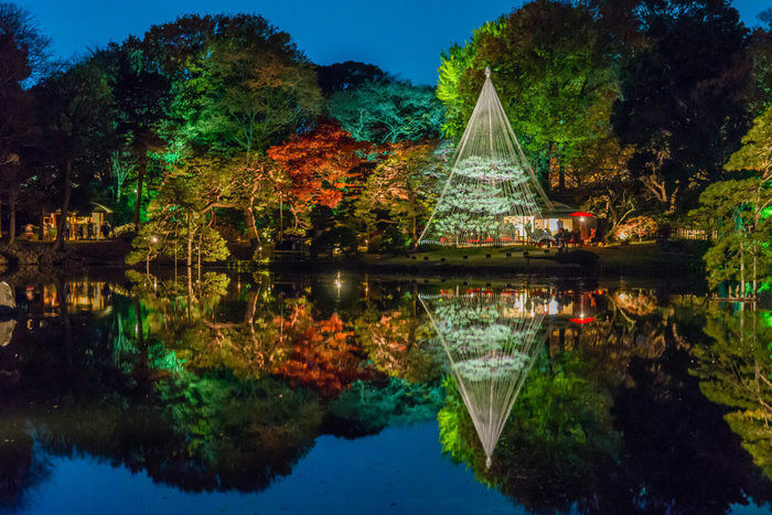 文京区の六義園の様子