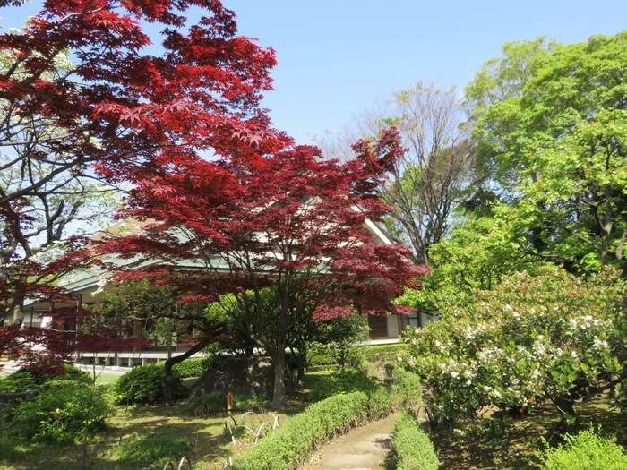 江東区の清澄庭園の様子