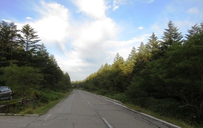 麦草峠~茶臼山~縞枯山の道路