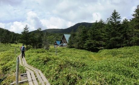 山小屋、縞枯山荘までの道