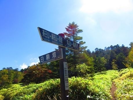白駒池の看板