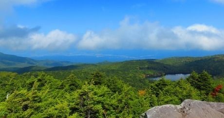 高見石から臨む白駒池