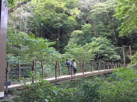 高尾山の吊り橋