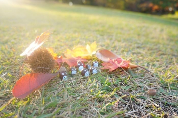 紅葉した落ち葉とどんぐりのトトロ