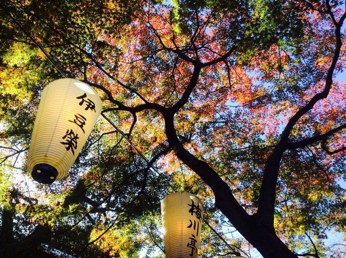 上野恩賜公園の紅葉と提灯