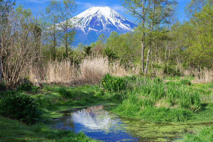 朝霧ジャンボリーオートキャンプ場から見える富士山
