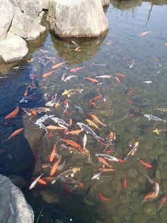 山梨県八代ふるさと公園の親水広場
