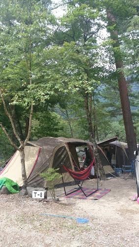 にしちゃんさんのキャンプ道具