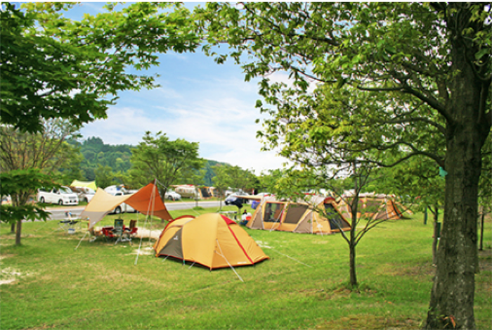 青川卿キャンピングパークのキャンプ場