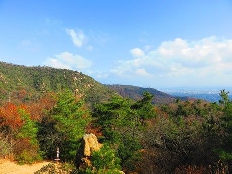 神戸や大阪の街並み、大阪湾を一望できる景色