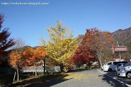 駐車場と紅葉した木々
