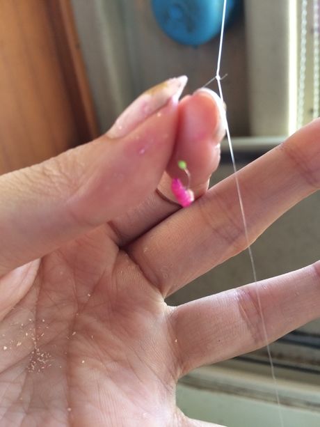 釣り竿についた赤虫