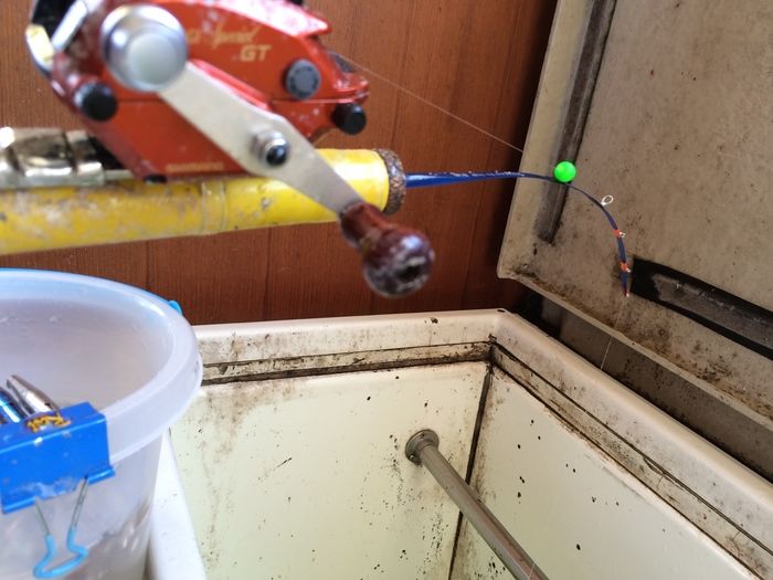 設置された竿