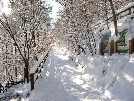 冬の三頭山周遊コーススタート地点