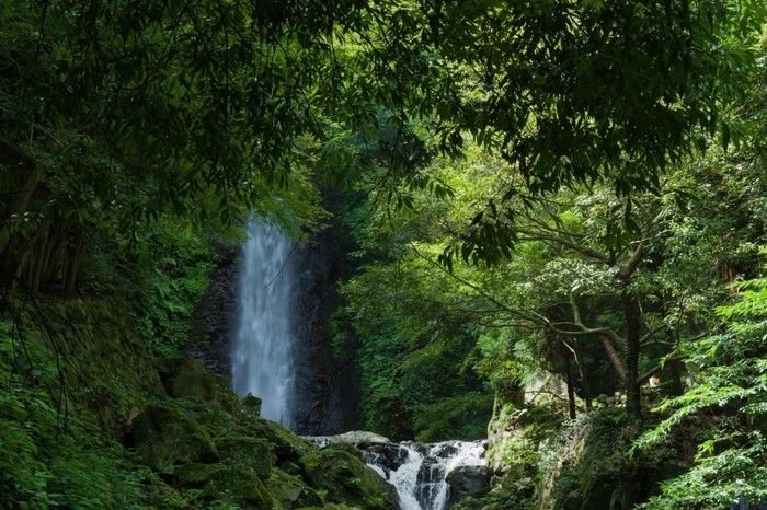 養老の滝