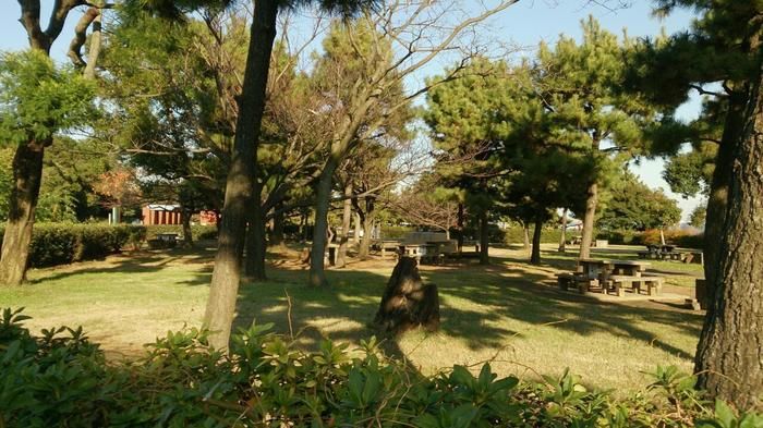 テーブルとベンチがある第一・第二キャンプ場