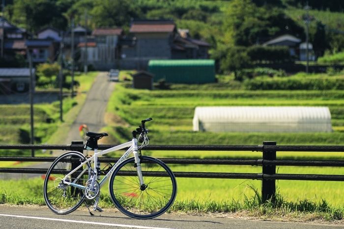 田んぼとクロスバイク