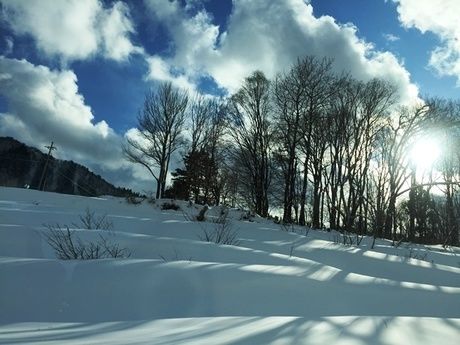 美方高原ウィンターフェスティバル会場の雪景色