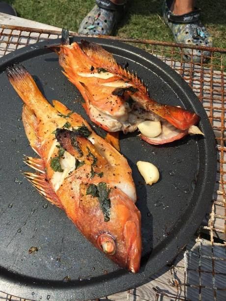 鉄板で焼かれた魚