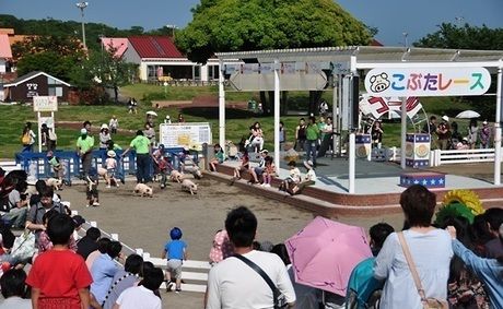 こぶたのレースを見守る人々