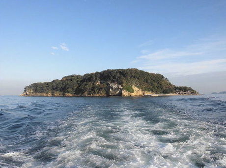 船から見た神奈川県の猿島