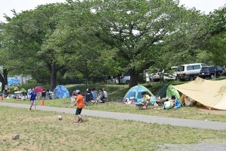 上大島還付場のお花見スポット