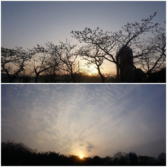 サイロ越しの朝日と夕日