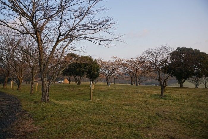 森のまきばきオートキャンプ場の電源サイトの様子