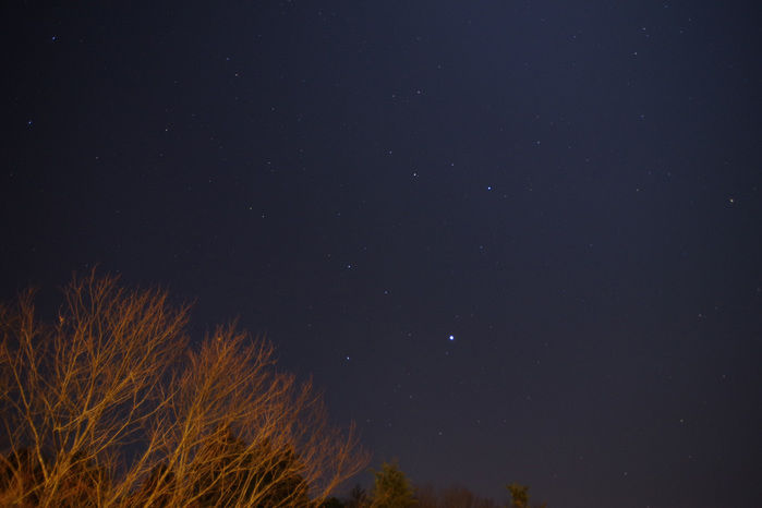 森と星空のキャンプヴィレッジの星空