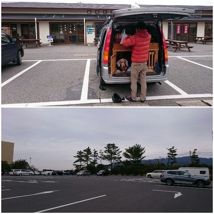 駐車場内に止めた車