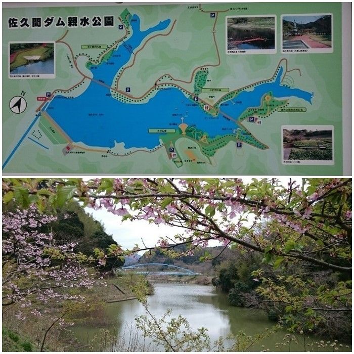 佐久間ダム湖親水公園の園内マップと景色