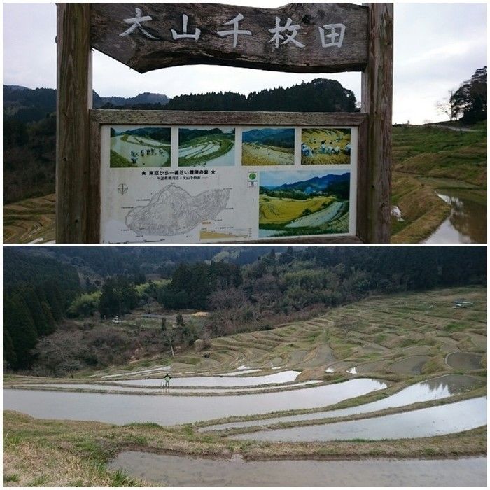 大山千枚田の看板と景色