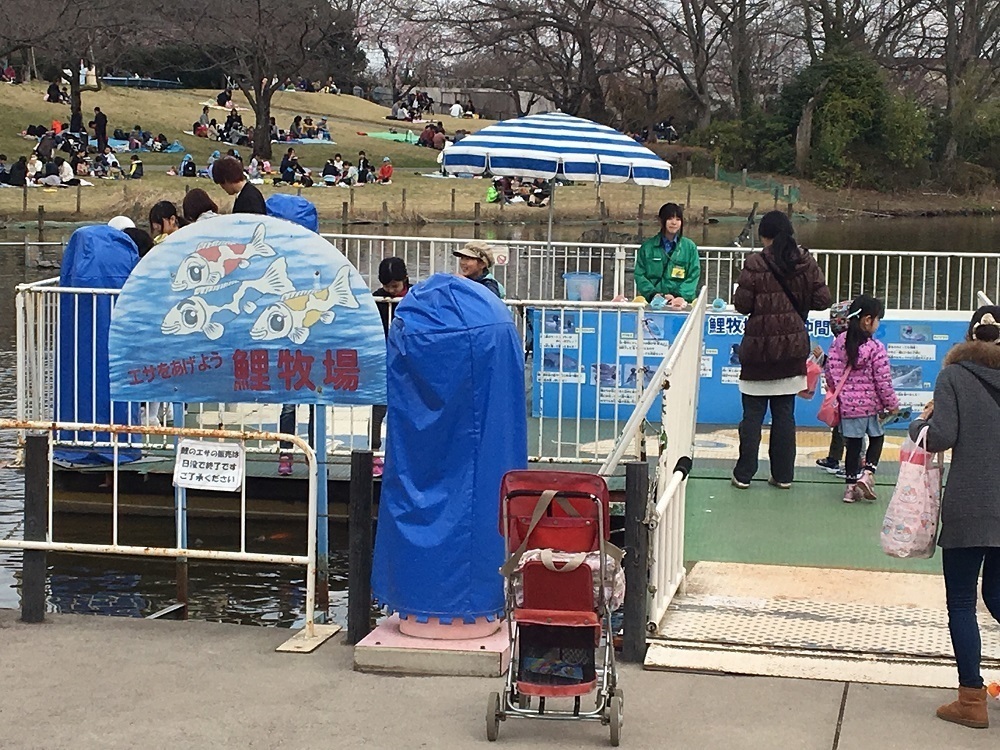 東武動物公園の動物園エリアでは、鯉の餌やりができます。
