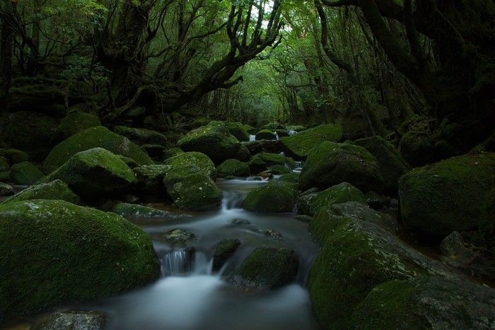 鹿児島県屋久島町を流れる川