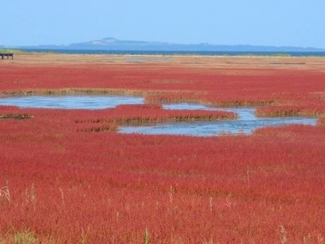 北海道網走市の能取湖